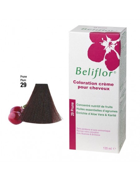 Beliflor Coloration Crème aux Extraits de Végétaux 29 COULEUR FRUIT PRUNE