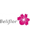 Beliflor Maroc